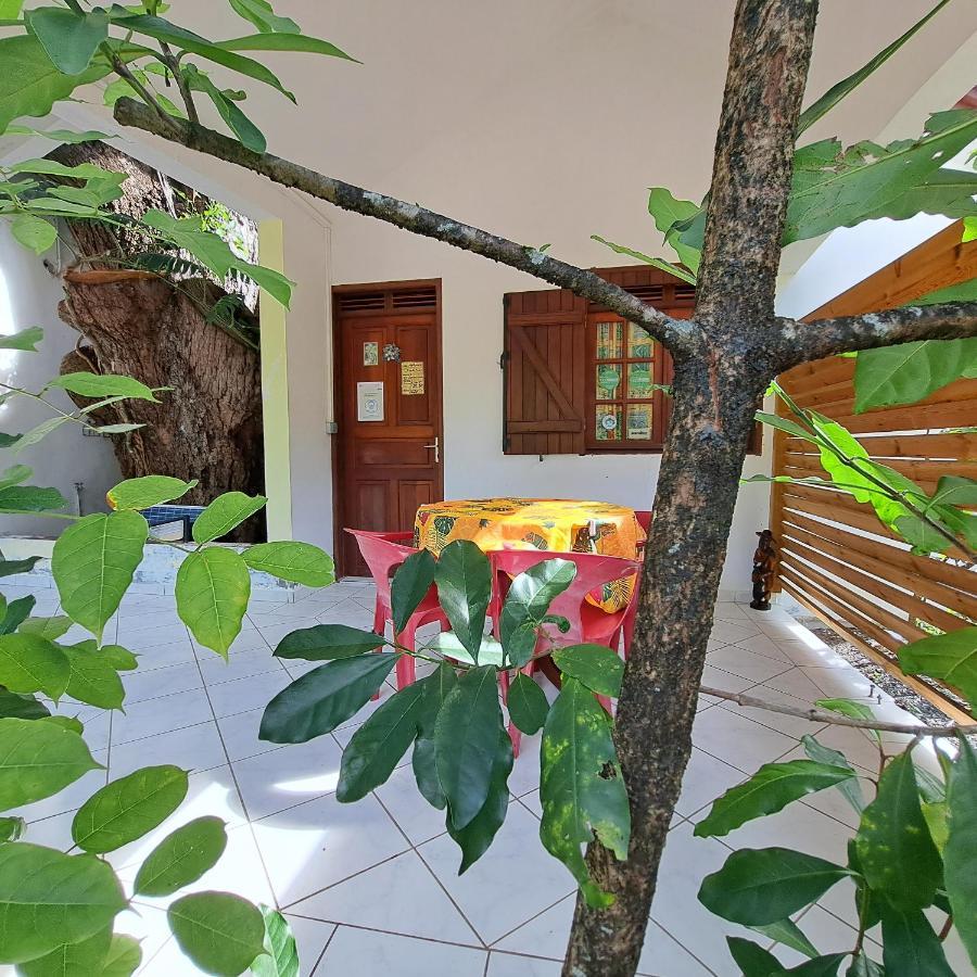 Residence Les Manguiers بوانت-نوار المظهر الخارجي الصورة