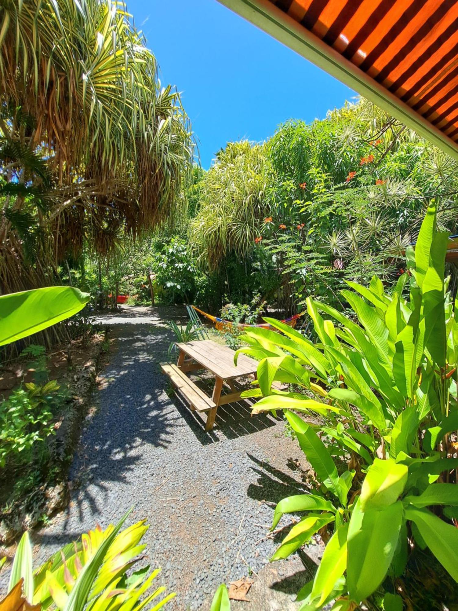 Residence Les Manguiers بوانت-نوار المظهر الخارجي الصورة