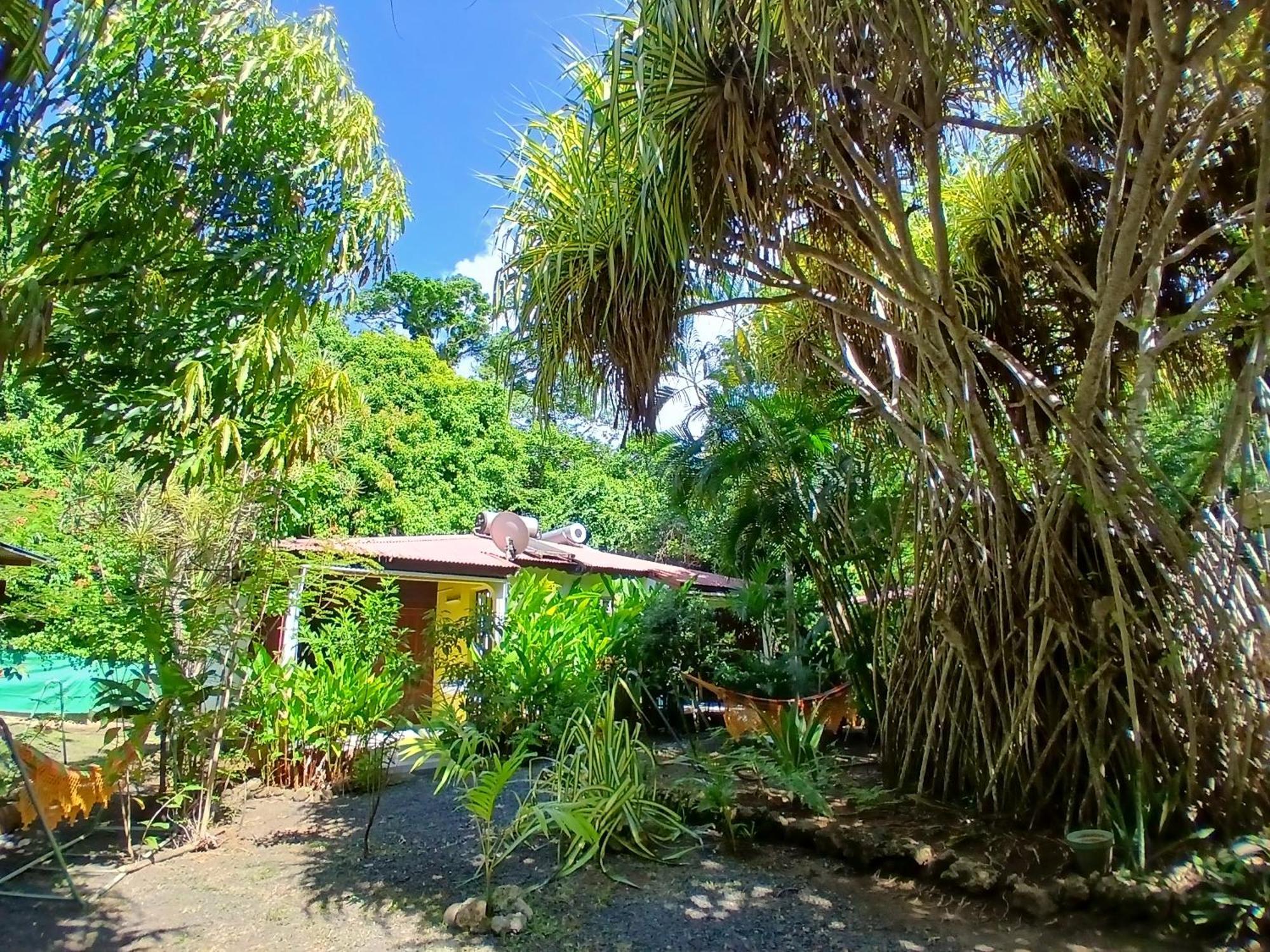 Residence Les Manguiers بوانت-نوار المظهر الخارجي الصورة