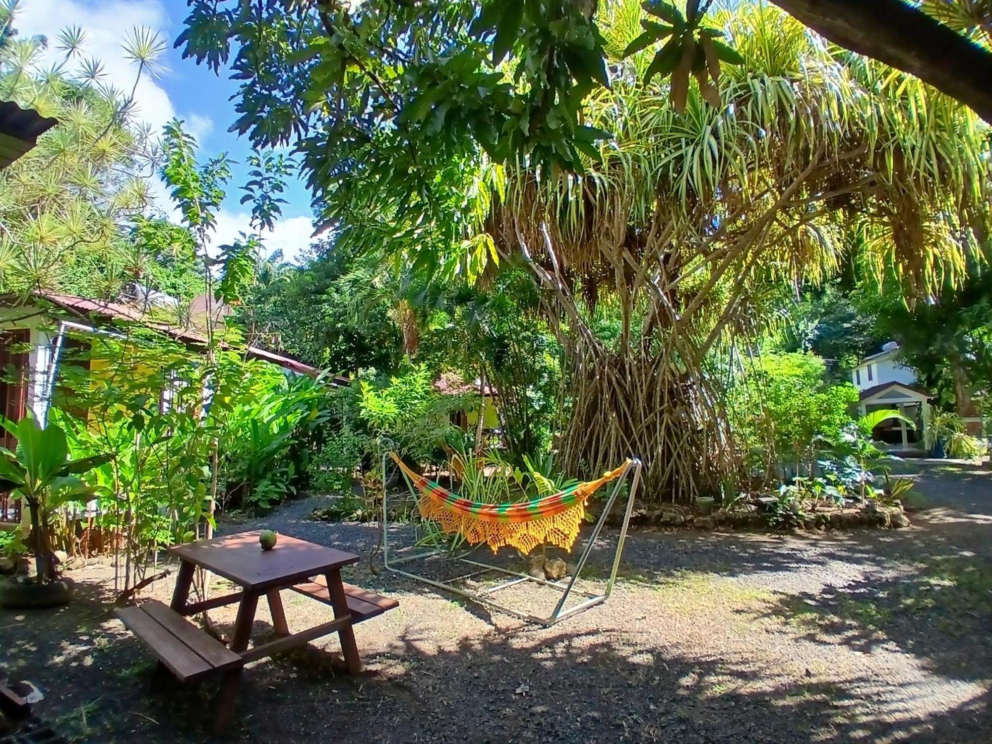 Residence Les Manguiers بوانت-نوار المظهر الخارجي الصورة