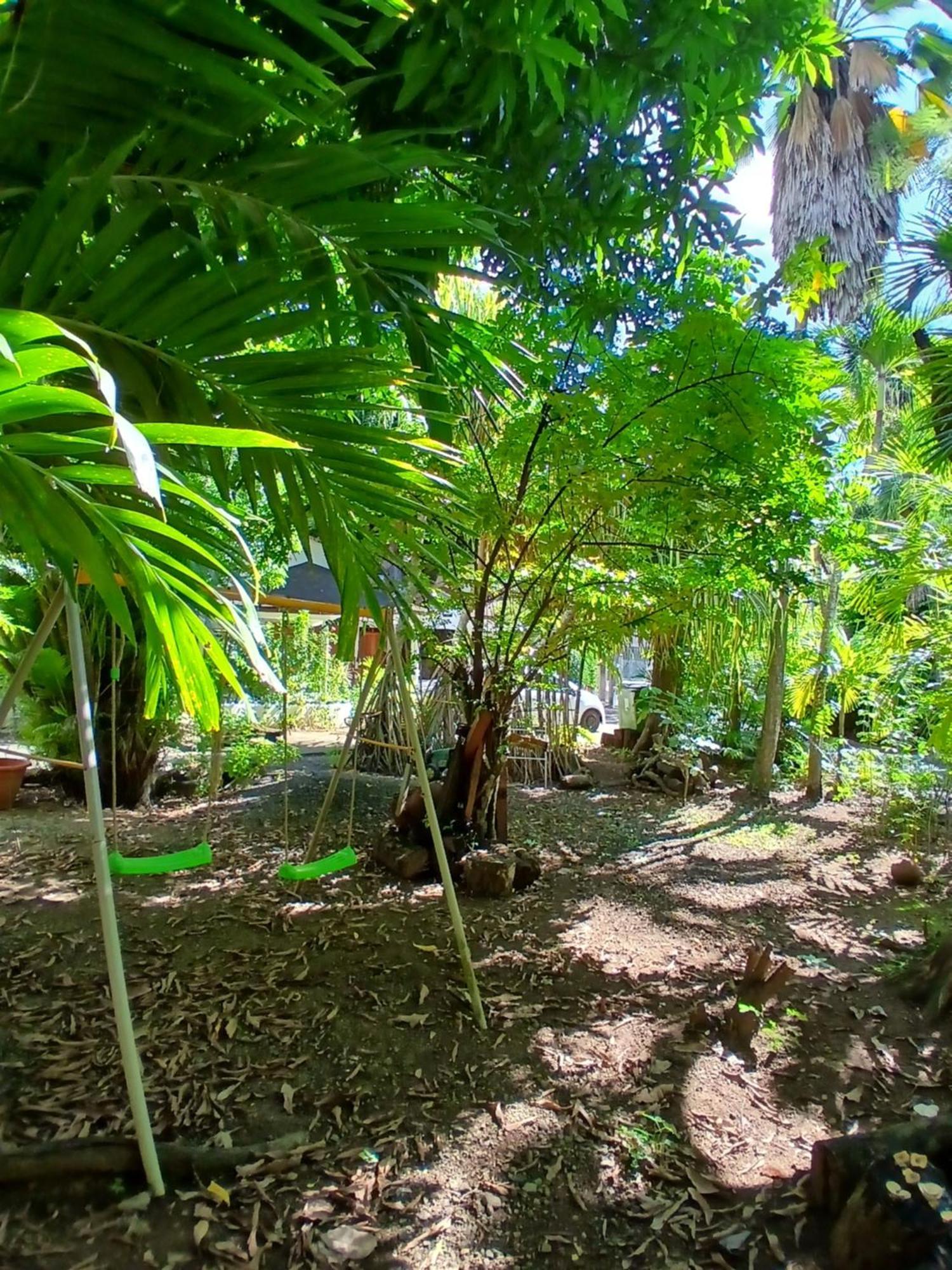Residence Les Manguiers بوانت-نوار المظهر الخارجي الصورة