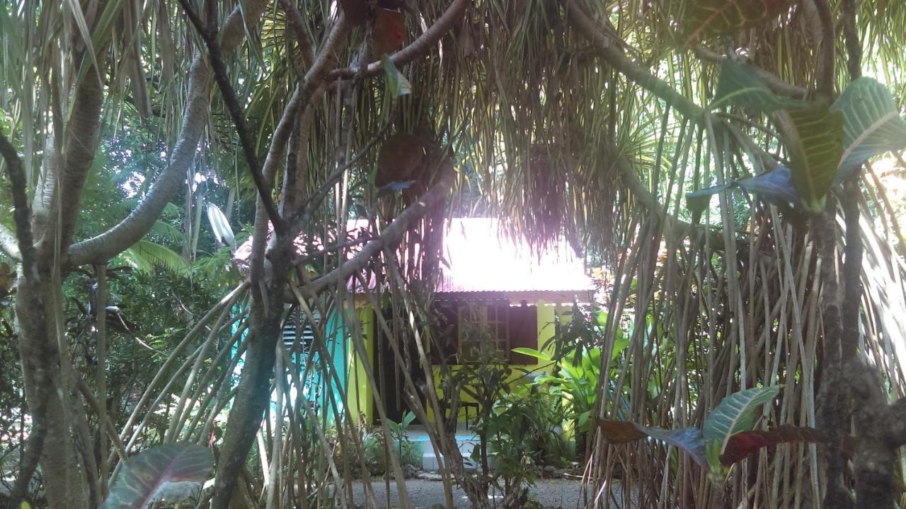 Residence Les Manguiers بوانت-نوار المظهر الخارجي الصورة