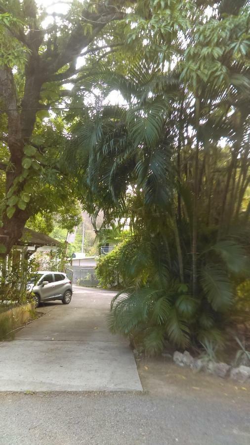 Residence Les Manguiers بوانت-نوار المظهر الخارجي الصورة